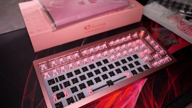 ASMR Custom Mechanical Keyboard Build AKKO