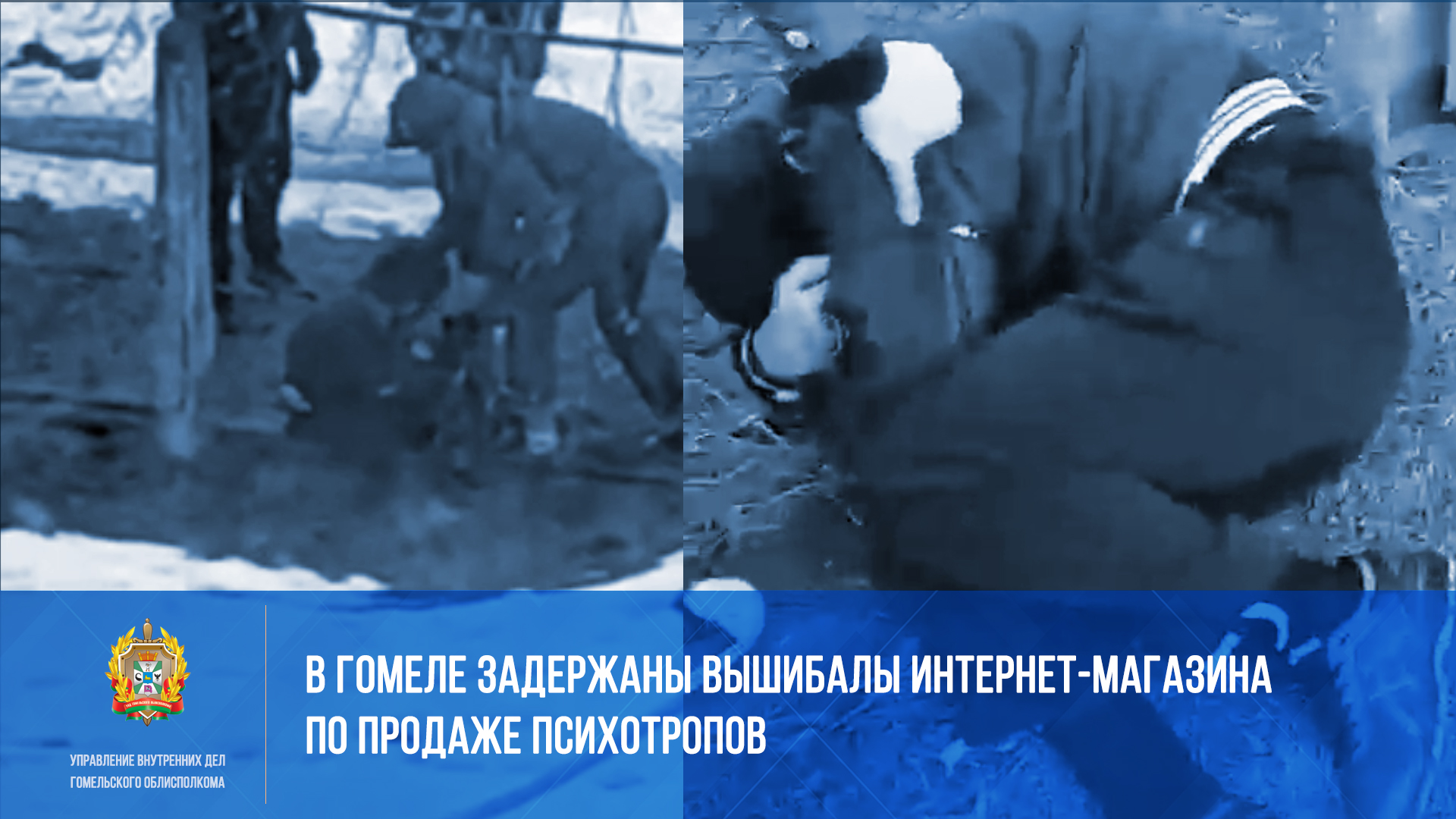 В Гомеле задержали вышибал интернет-магазина по продаже психотропов ...