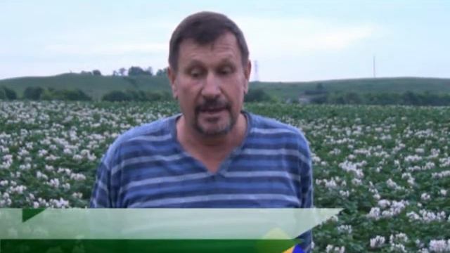 Небывалый урожай картофеля, СТИМИКС - Стандарт КАРТОФЕЛЬ.Чистое органическое производство, без хими