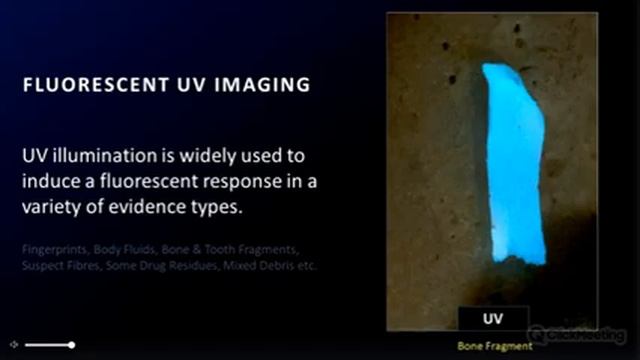 Выявление следов пальцев рук с помощью окуривания цианакрилатом - вебинар от компании Foster+Freema смотреть онлайн