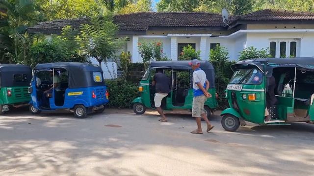 ? Шри-ланка Чайные Плантации Поездка На Поезде Среди Гор Вкусный ? Ужин Девятиарочный Мост смотреть онлайн