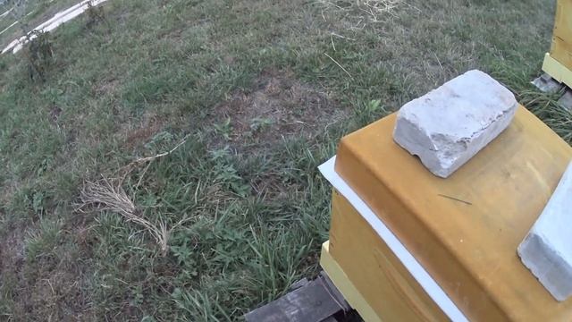 зимовка в ППУ ульях на инновационной рамке часть 3 утепление ППУ ульев