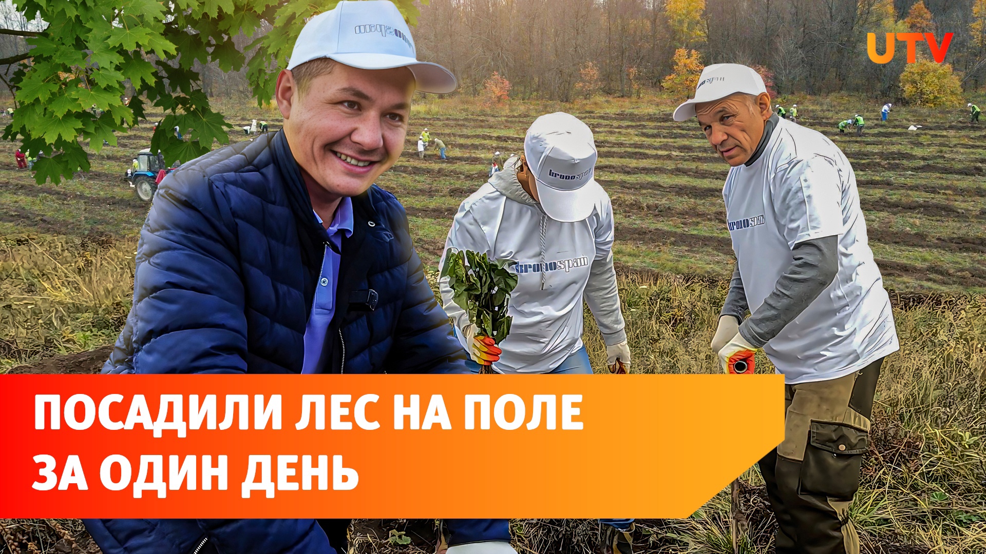 10 тысяч деревьев через 20 лет. Волонтёры и сотрудники крупного завода высадили полноценный лес
