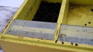 ВНИМАНИЕ: кормушки Нижегородец могут быть опасны для ваших пчел