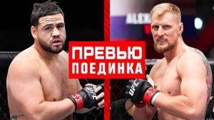 UFC 293: Туиваса vs Волков - Превью