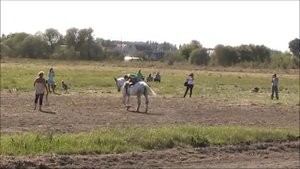 Скачки лошадей п  Ольховатка  Воронежская обл. 2018г