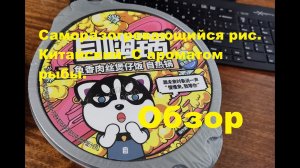 РИС китайский САМОЗАВАРИВАЮЩИЙСЯ с ароматом РЫБЫ. ОБЗОР.