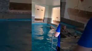 А дельфины добрые, а дельфины мокрые, на тебя глядят умными глазами...