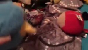 Angry Birds Plush Toons S1 Episode41 - El Porkador!