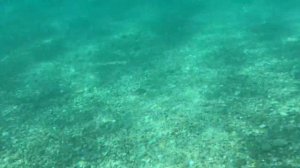 Съемки айфоном под водой#IPhone 7+ #Underwater Test