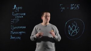 БИОЛОГИЯ 8 класс: Клетка: строение, химический состав и жизнедеятельность