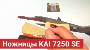 Электромеханическая швейная машина Janome SE 7515
