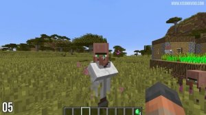 10 Villager Facts - Do You Know Minecraft?