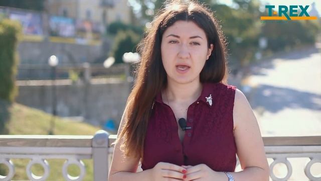 Как составить ТЗ для копирайтера. Контент-агентство T-REX. Екатерина Дунаева