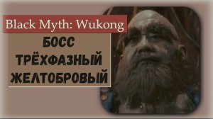 Black Myth  Wukong. Босс трёхфазный Желтобровый, финал главы № 3 трофей "Мудрые глупости "