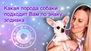 КАКАЯ ПОРОДА СОБАКИ ПОДХОДИТ ВАМ ПО ЗНАКУ ЗОДИАКА