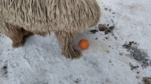 Играю с сёмой?