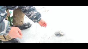 Ловля окуня зимой на Ангаре. Наши диалоги о рыбалке. Хороший улов.Иркутск