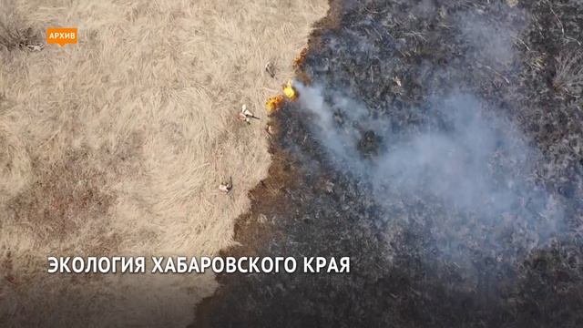 Экология Хабаровского края
