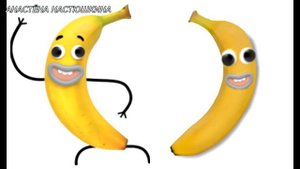 Удивительный Мир Гамбола в Реальной Жизни