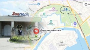 Весь Санкт-Петербург за 10 дней - это возможно! Экскурсионный план.  День второй.