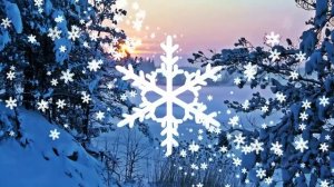 Футаж Снег кружится HD