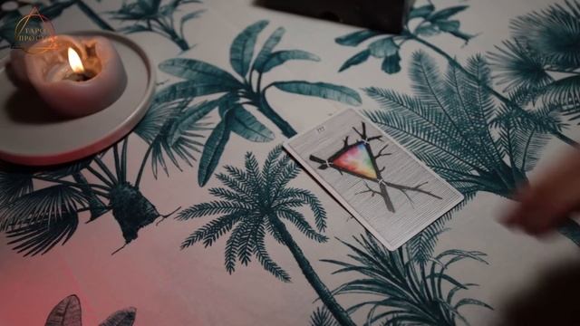 The Wild Unknown Tarot | Дикое Неизведанное Таро