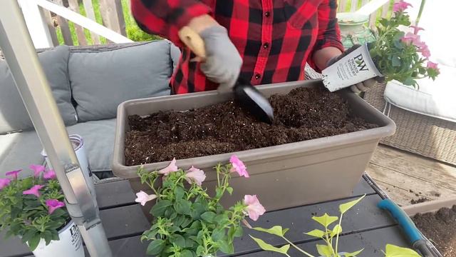 Planting PROVEN WINNERS in Deck Planters смотреть онлайн