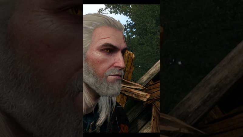 Голод не тетка  #volginplay #shorts #thewitcher3