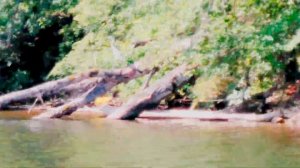 Павловское водохранилище ЧАСТЬ 2.Ловля судака...