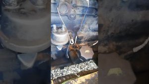 Как выставить вмт на New Holland с двигателем ивеко F4GE0484G*D