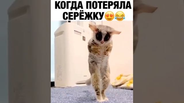 Когда потерял сережку