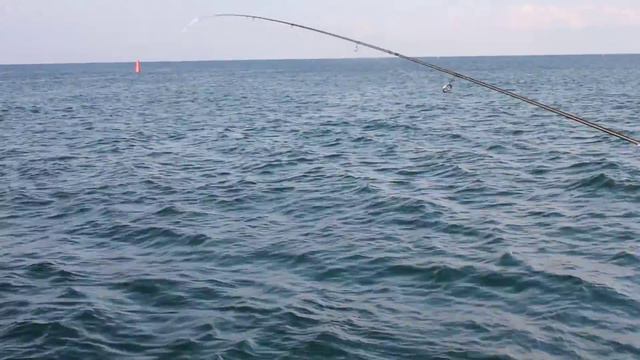 Ловля ставриды на силикон смотреть онлайн