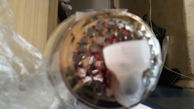 Мышь грызет(1) смотреть онлайн