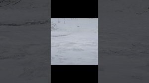 Зима в Новосокольниках