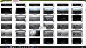 Классная фотоловушка 2020 Реальный отчет