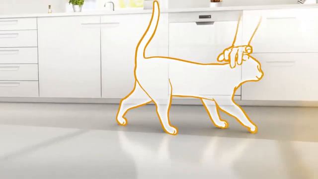 10 отменных советов для владельца кошки смотреть онлайн