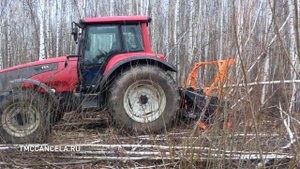 Трактор VALTRA T190 с мульчером TMCCancela TFS2-200 на удалении пней, деревьев и порубочных остатко
