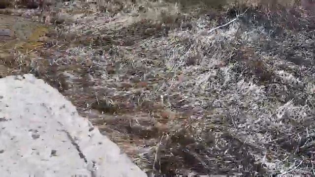 За 7 лет буронабивные сваи выдавило. г. Пермь смотреть онлайн