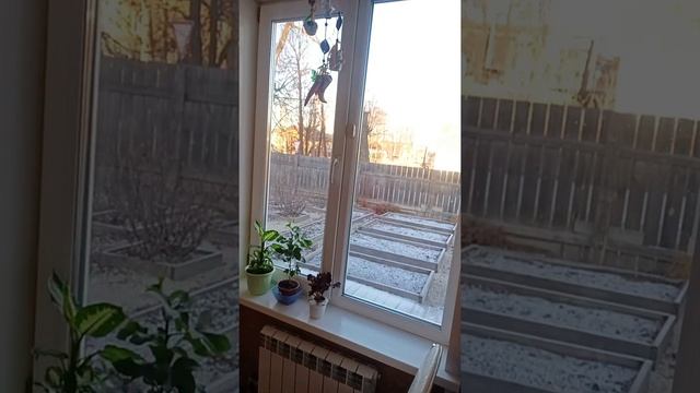 Вешаем шторы#наводимпорядок смотреть онлайн