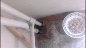 Веселые мышки