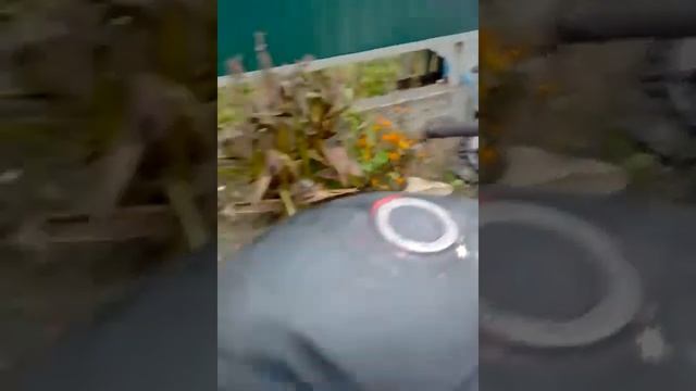 Карбюратор, б/у (00150142) смотреть онлайн