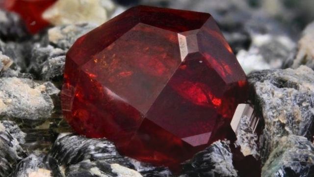 Самые редкие вещи на Земле, которые можно увидеть один раз в жизни смотреть онлайн