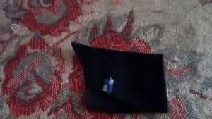 ОДЕЖДА для котёнка КАНАДСКИЙ сфинкс своими руками