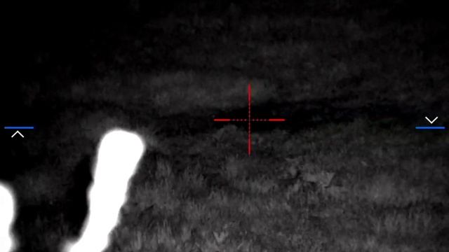 (wild) boar- Pulsar Diges N455 смотреть онлайн