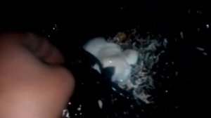 Отработанные грибные блоки опять принесли урожай.