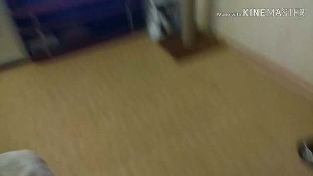 #Мейнкун