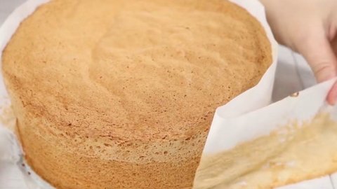 Идеальный Бисквит ✧ Который Никогда Не Опадает ✧ Бисквит Кастелла ✧ Perfect Sponge Cake ✧