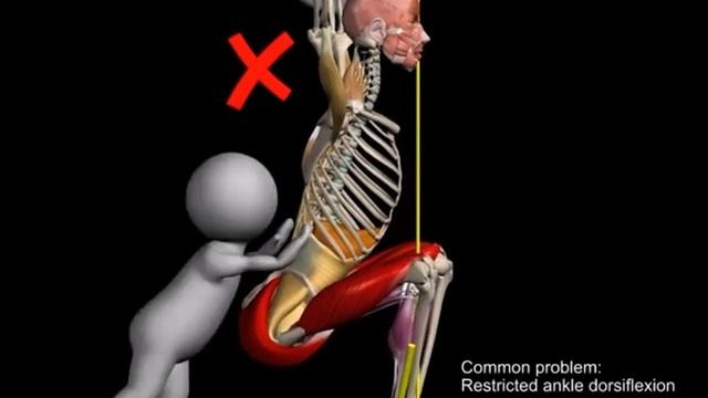 Анатомия приседаний со штангой над головой смотреть онлайн