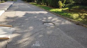 Закрытый Пансионат Дельфин в Курортном городке Адлера
